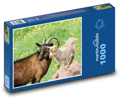 Zdjęcie produktu dla Puzzle 1000 Koza z koźlątkiem na łące - martinpuzzle