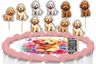 Obrázok produktu pre Zápichy na tortu dekorácia sada - Pes Plemeno Goldendoodle 10 ks