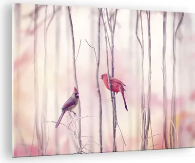 Produktbild von Bilder auf glas - Einteilig - Vögel Kardinal Scharlachrot - 70x50cm - Glasbilder - Wandbilder - Bilder - Wanddekoration aus Glas - Glas Bilder - Wandbild auf Glas - GAA70x50-4256