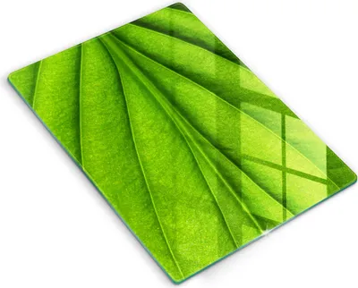 Produktbild von Glasschneideplatte - Herdabdeckplatte - 40x52 cm - Schneidebrett - Spritzschutz - Angelschnurblatt