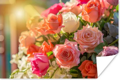 Produktbild von MuchoWow® Poster Rosen - Strauß - Farben 60x40 cm - Schlafzimmerdekoration