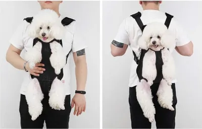 Produktbild von Atmungsaktive, schwarze Brusttragetasche für Haustiere in Größe M – Bequemer Schultergurt-Rucksack für kleine Hunde und Katzen, freihändige Reisetasche für Outdoor-Abenteuer