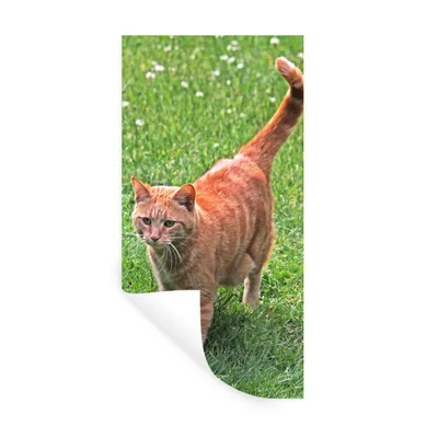 Produktbild von MuchoWow® Wandtattoo Wandsticker Wandaufkleber Katze - Rot - Katze - Mädchen - Kinder - Jungen - Kind 60x120 cm Selbstklebend und Repositionierbar - Selbstklebend - Fototapeten