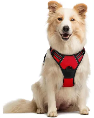 Produktbild von Hundegeschirr Anti Zug No Pull Rot Größe M