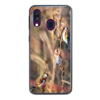Produktbild von MuchoWow® Handyhülle Schutzhülle Hülle für Samsung Galaxy A40 Vögel - Äste - Wald Silikon Softcase Handy Hülle - Handy-Tasche