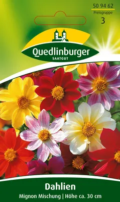 Produktbild von Quedlinburger Saatgut - Dahlien Mignon Mischung - Samen - 509462