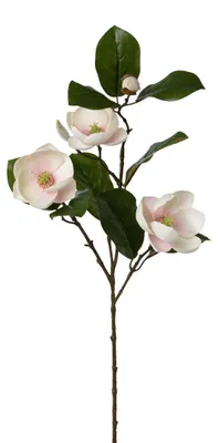 Produktbild von Kunstblume MAGNOLIE 74cm. Mit 3 Magnolienblüten und Knospen. ROSA