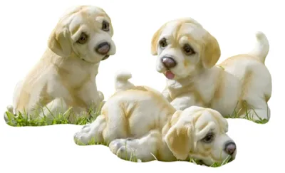 Produktbild von Dekofigur Jupp Hund Kunstharz hellbraun H.14 cm 3er-Set