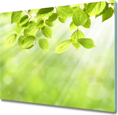 Produktbild von Glas Herdabdeckplatte 60x52 cm Spritzschutz Glasabdeckplatte Schneidebrett Laub