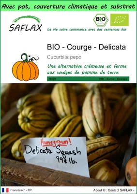 Image de SAFLAX Garden to go -- Courge - Delicata - 6 graines - Cucurbita
