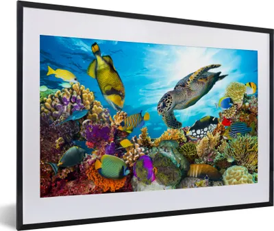 Produktbild von MuchoWow® Gerahmtes Poster Schildkröte - Meer - Koralle 60x40 cm - Poster mit Schwarzem Bilderrahmen Wandposter Rahmen Foto Bilder - Schlafzimmer - Plakat in Rahmen - Drucken