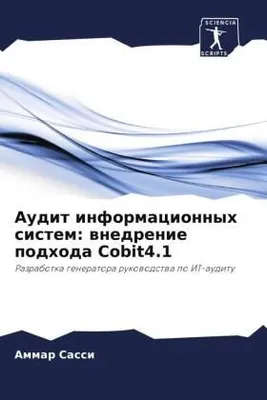 Produktbild von Audit informacionnyh sistem: wnedrenie podhoda Cobit4.1
