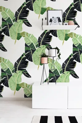 Produktbild von Coloray Fototapete 208x146 cm Latextapete Magicstick - Palmenblätter