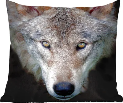 Produktbild von MuchoWow® Zierkissen Sofakissen Wohnzimmer Dekokissen 45x45 cm Wolf - Porträt - Schwarz - Schlafpolster - Polster für das Sofa