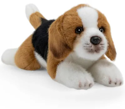 Produktbild von Carl Dick Beagle ca. 20cm, Plüschtier, Stofftier, Kuscheltier 3717