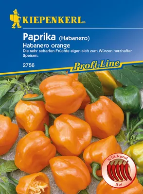 Produktbild von Paprika Habanero orange | Paprikasamen von Kiepenkerl