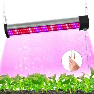 A grow light illuminating young plants.