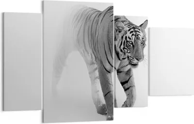 Produktbild von Bild auf Leinwand - Leinwandbild - 4 Teile - Tiger Monochrom Porträt - 120x70cm - Wand Bild - Wanddeko - Wandbilder - Leinwanddruck - Bilder - Wanddekoration - Leinwand bilder - DL120x70-4626