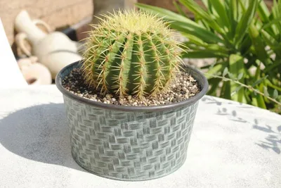 Produktbild von Runde Zinkwanne in antik-grün, Pflanzgefäß, 35 cm Durchmesser