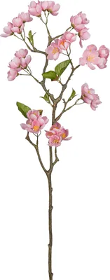 Produktbild von Gasper Deko-Apfelblütenzweig APFELBLÜTE aus Kunststoff, rosa, 83 cm lang