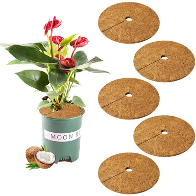 Image de 5 tapis en fibre de coco de 30 cm, disques de coco pour la protection hivernale, tapis en fibre de coco, protection des plantes en coco, disques de coco pour plantes, protection durable des plantes, protection des pots pour les plantes tout au long de l'année, notamment en hiver.