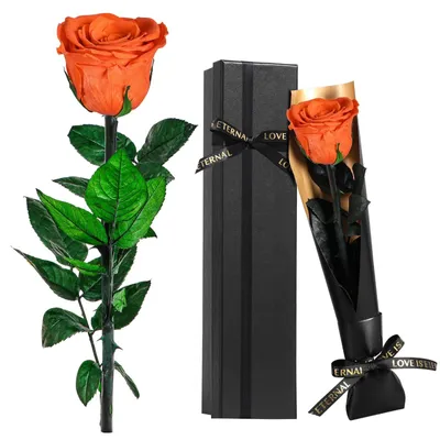 Image de Conservez l'orchidée Orange Rose comme cadeau pour les femmes