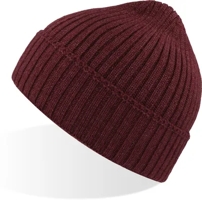 Produktbild von Atlantis Headwear Viral Beanie