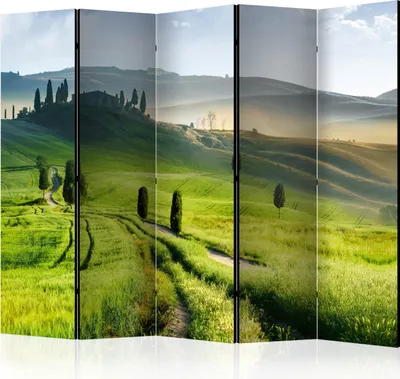 Obrázek produktu pro Oboustranný paraván Landscapes 225x172 cm 5dílný zelený