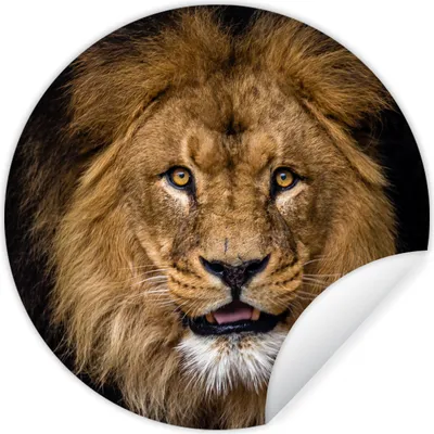 Produktbild von MuchoWow® Runde Wandtattoo - Wandsticker Tapete Aufkleber Löwe - Porträt - Schwarz - Tiere Ø 50 cm Selbstklebend und Repositionierbar - Wandaufkleber - Kreis - Wand Kreis - Wand Bild - Foto Tapete - Selbstklebende - Wohnzimmerdekoration - Wand Dekoration - Kinderzimmer