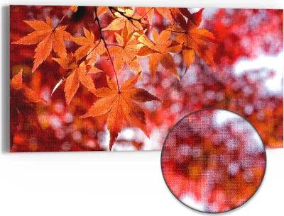 Produktbild von DEQORI Hybrid Leinwand Bild 60x30 cm 'Herbstblattglanz' Wandbild Glas flach modern