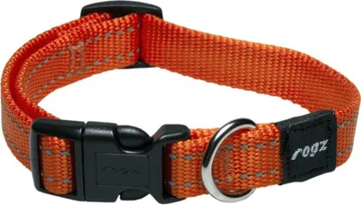 Immagine prodotto di collare per cani Fanbelt 34-56 cm nylon arancione