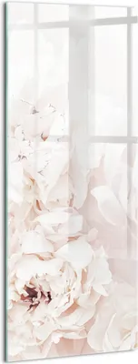 Produktbild von Designer Glasbild - Wandbild - Glas Bild - 50x125 cm - Pfingstrosenblüten