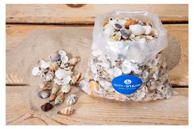 Produktbild von Dekoration Muscheln mittelgroß 1 kg