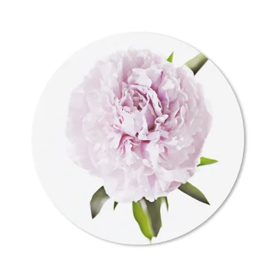 Produktbild von MuchoWow® Mauspad Mousepad Draufsicht auf eine rosa Pfingstrose 30x30 cm - Mousepads - Maus Mat - Pad - Mausunterlage - Tischunterlage - Schreibtischmatten