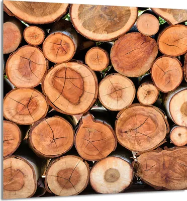 Produktbild von GLASPLATTE FÜR KÜCHE 60x65 Holz