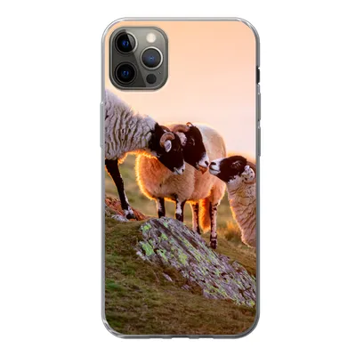 Produktbild von MuchoWow® Handyhülle Schutzhülle Hülle für iPhone 13 Pro Max Schafe - Tiere - Sonnenuntergang Silikon Softcase Handy Hülle - Mobiltelefon