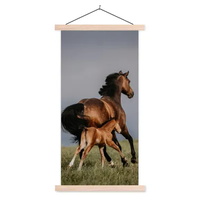 Produktbild von MuchoWow® Textilposter Tiere - Pferde - Fohlen 60x120 cm mit holzfarbenen Rahmen - Holz