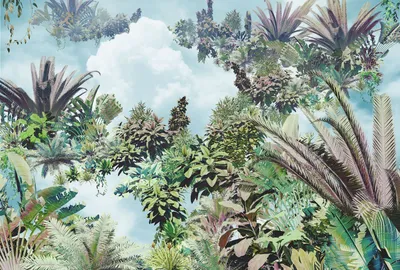 Zdjęcie produktu dla Komar fototapeta liście palmowe zielonymIniebieskim - 611147 - 368 x 248 cm