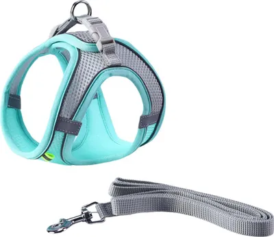Produktbild von Colcolo Hundegeschirr-Leinen-Set, strapazierfähig, kein Ziehen, Geschirre für kleine und mittelgroße Hunderassen, atmungsaktives Mesh-Welpengeschirr, Haustiergeschirr für das Spaziertraining im Freien, Grün, XS