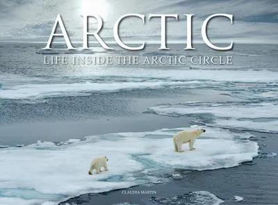Immagine prodotto di Arctic