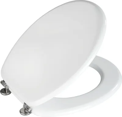 A white toilet seat and lid are shown, propped open.