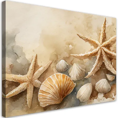 Produktbild von Leinwandbild Acryl-Muscheln und Seesterne 90x60 Feeby Beige bild für die wand bereit zum aufhängen