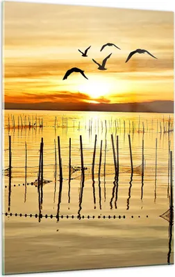 Produktbild von Bilder auf glas - Einteilig - See Vogel Wasser - 50x70cm - Glasbilder - Wandbilder - Bilder - zum Aufhängen bereit - Wanddekoration aus Glas - Glas Bilder - Wandbild auf Glas - GPA50x70-3616