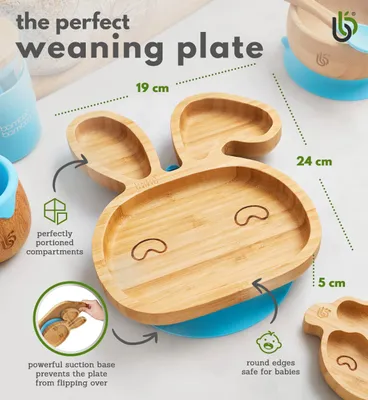 Produktbild von Baby Teller mit Saugnapf, Bambus, 1 Stück, für die Küche