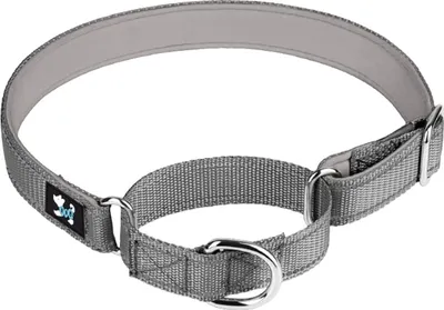 Produktbild von Famanu verstellbares Martingale Sicherheits-Trainingshalsband - Neopren gepolstert - Für kleine, mittelgroße und große Hunde (M grau)