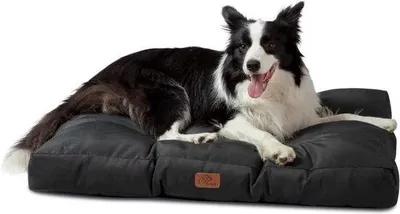 Produktbild von Famanu Hundebett Wasserfest - Waschbarer Oxford-Stoff - 91x68x10cm Schwarz
