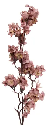 Immagine prodotto di Clayre & Eef Fiore artificiale 10x7x98 cm Rosa in plastica