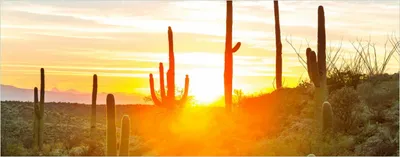 Produktbild von Wallario selbstklebendes Poster - Sonnenaufgang in der Wüste, Größe: 50 x 125 cm