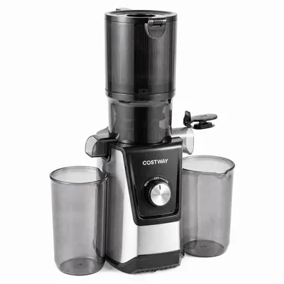 Image de COSTWAY, extracteur de jus 160W, extracteur à broyage lent avec un orifice d'alimentation de 110 cm, fonction de marche arrière, presse-fruits facile à installer, extracteur à froid, facile à nettoyer