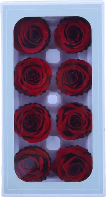 Produktbild von Stück konservierte Rosen, Schönheit, lichtecht, realistisch, ewiges Blumenarrangement, Geschenk für die Dekoration von Home Party